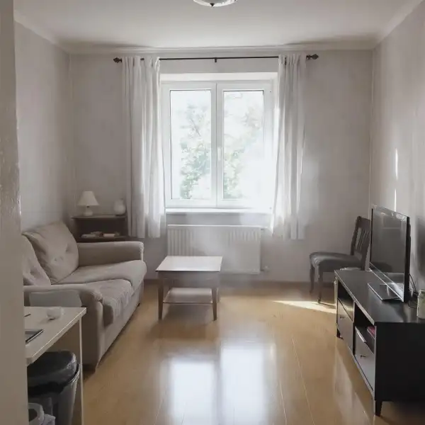 Ионизация сухим туманом в квартире - после уборки